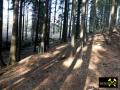 Bergbauspuren am Wunderliche Köpfe Morgengang bei Schlettau, Revier Annaberg, Erzgebirge, Sachsen, (D) (4) 02.03.2014.JPG